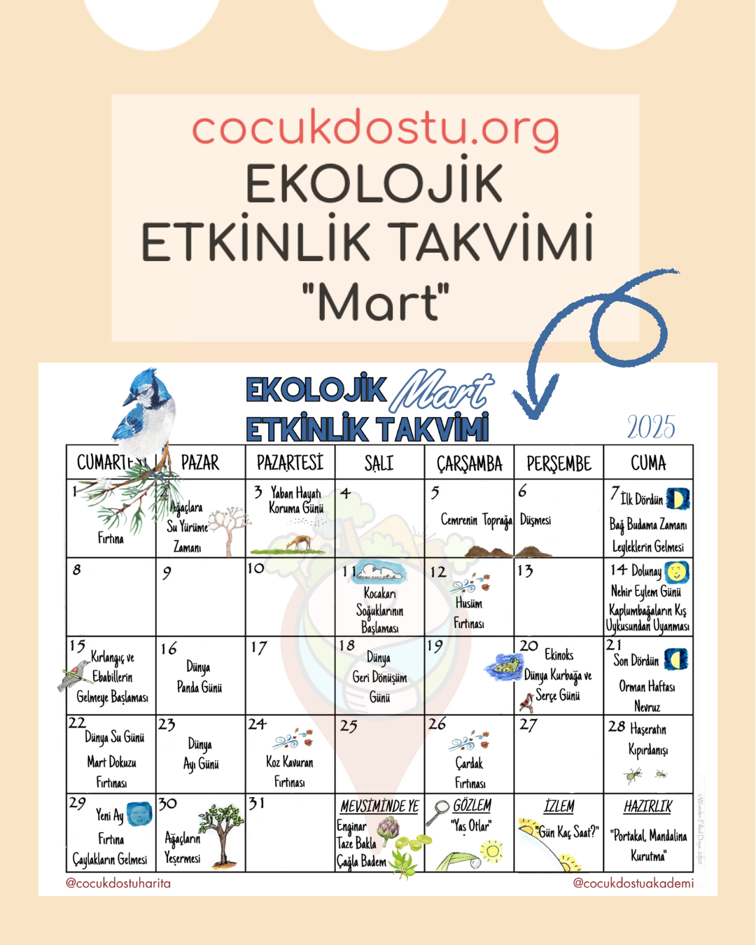Ekolojik Etkinlik Takvimi-Mart 2025